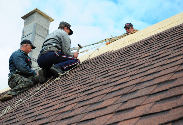Professional Roofing Contractor in Clermont, FL